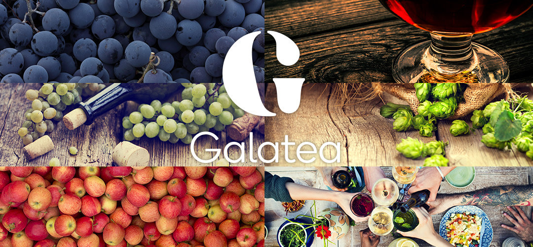 Welcome to Galatea's world of beverages!