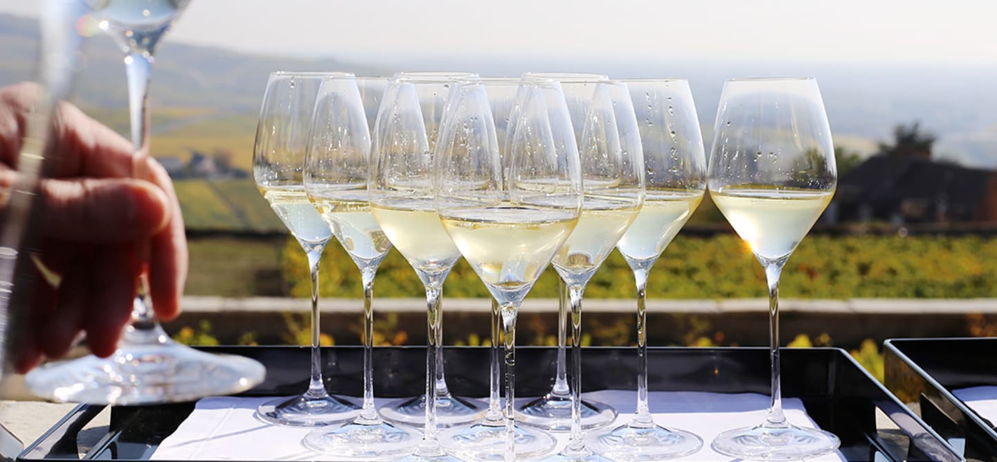 Vill du bli champagneexpert?