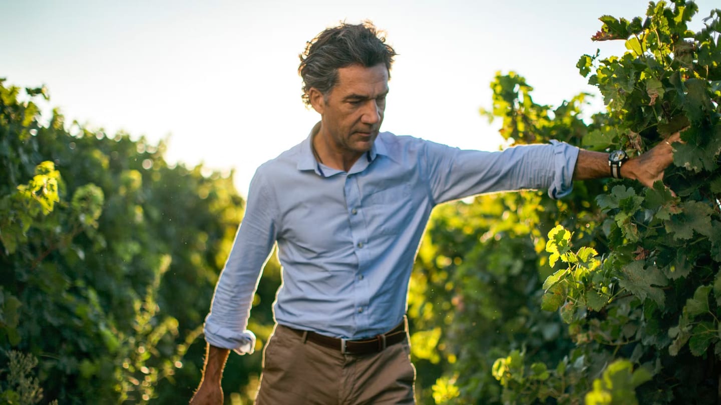 Sydfranska Domaines Paul Mas utnämnd till bästa vinproducent i Frankrike i Mundus Vini Spring Tasting 2024