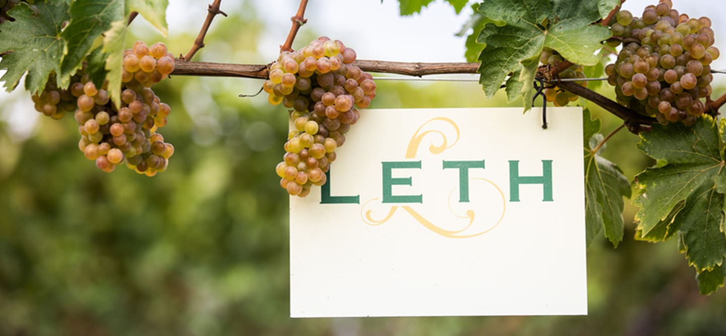 Ny årgång lanseras från familjeföretaget Weingut Leth
