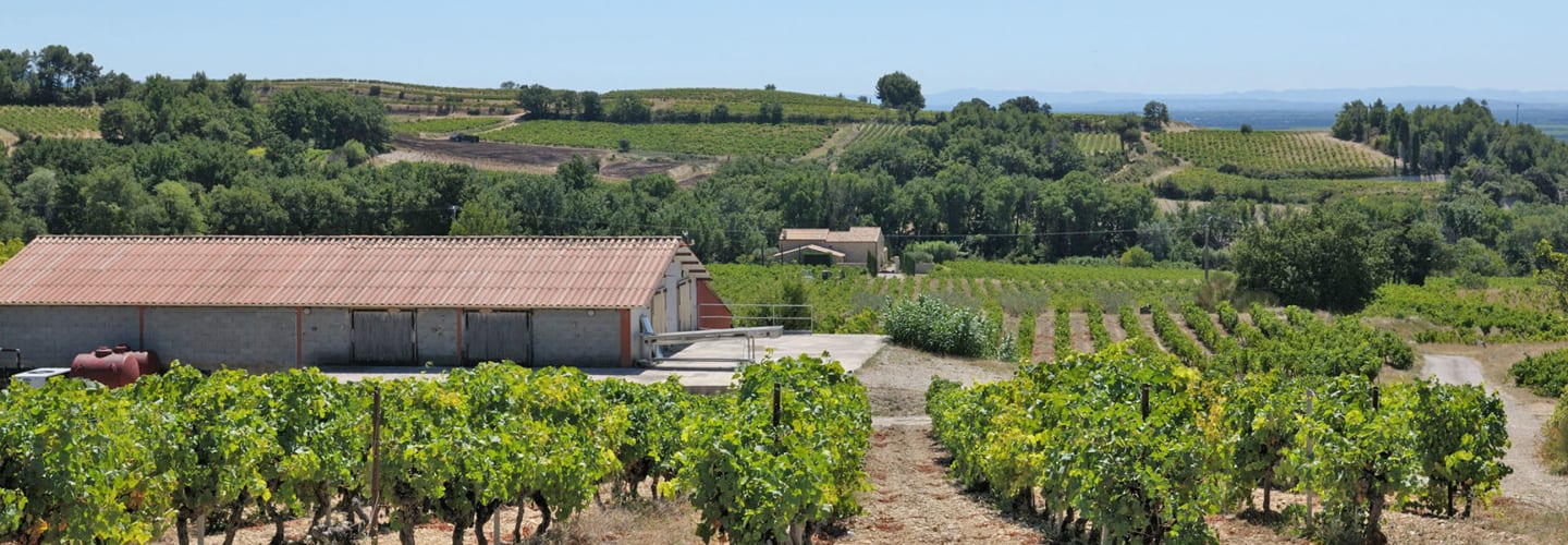 Domaine Boutinot Rhône