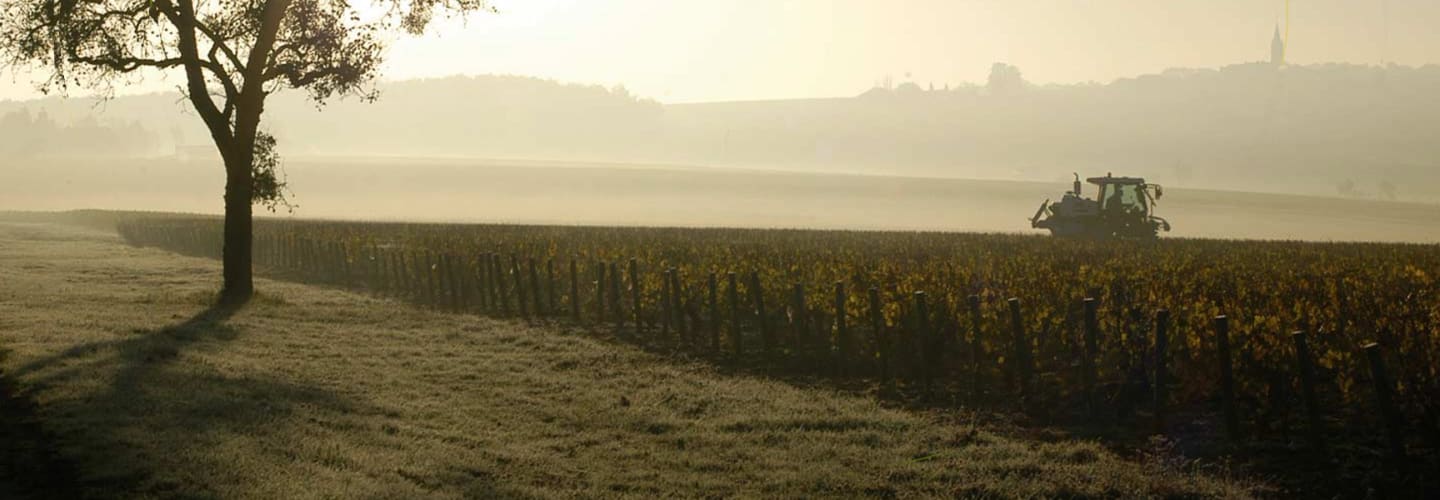 Domaine A. Cailbourdin