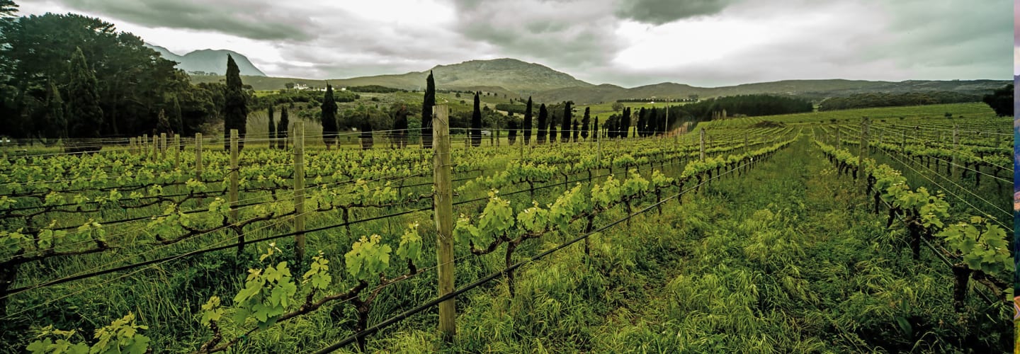 Hamilton Russell Vineyards