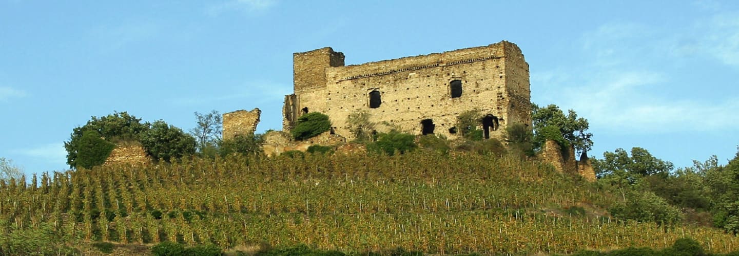 Les Vins de Vienne