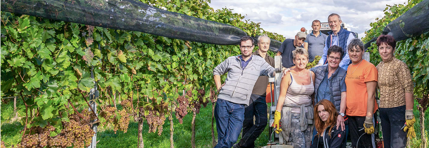 Weingut Leth