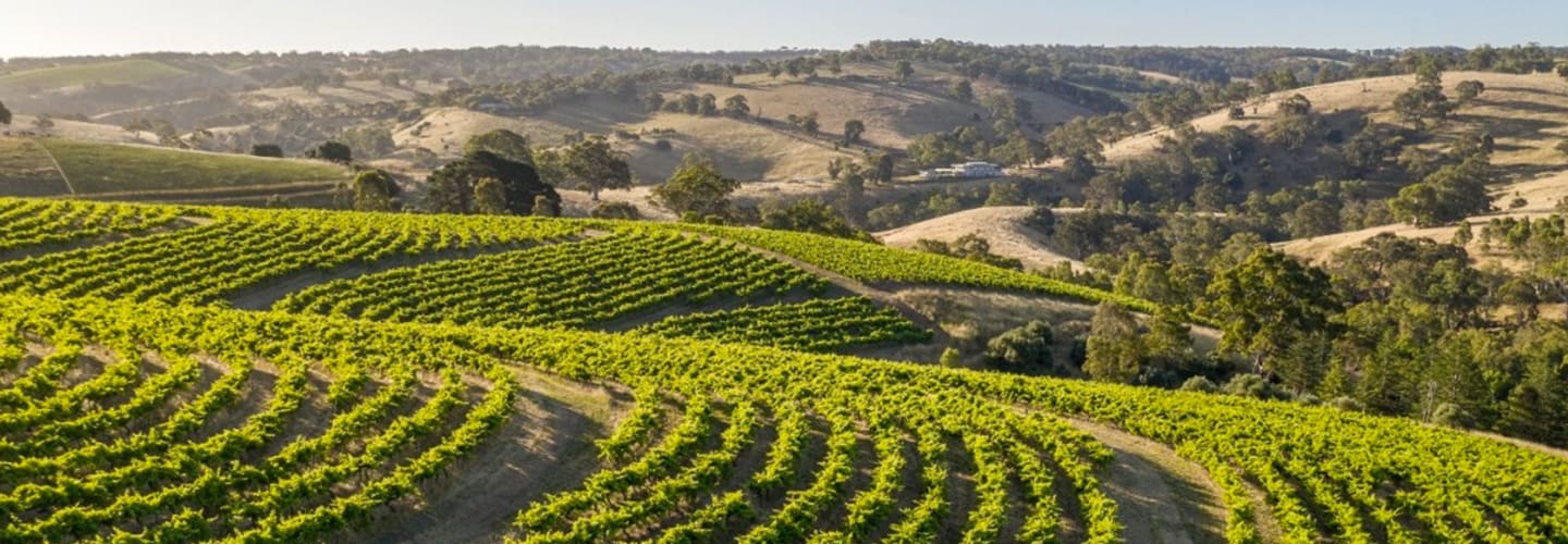 Murphy Goode – Jackson Family Wines