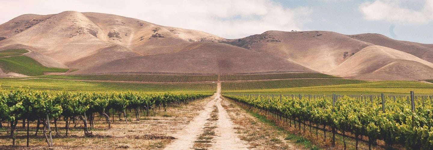 Nielson – Jackson Family Wines