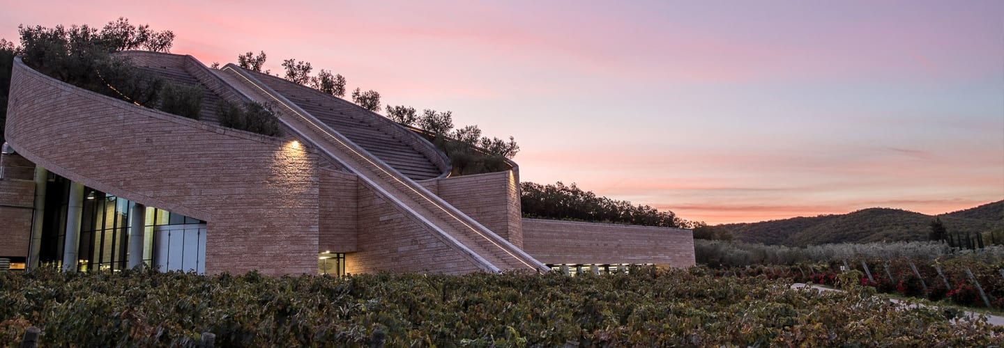 Petra Wines