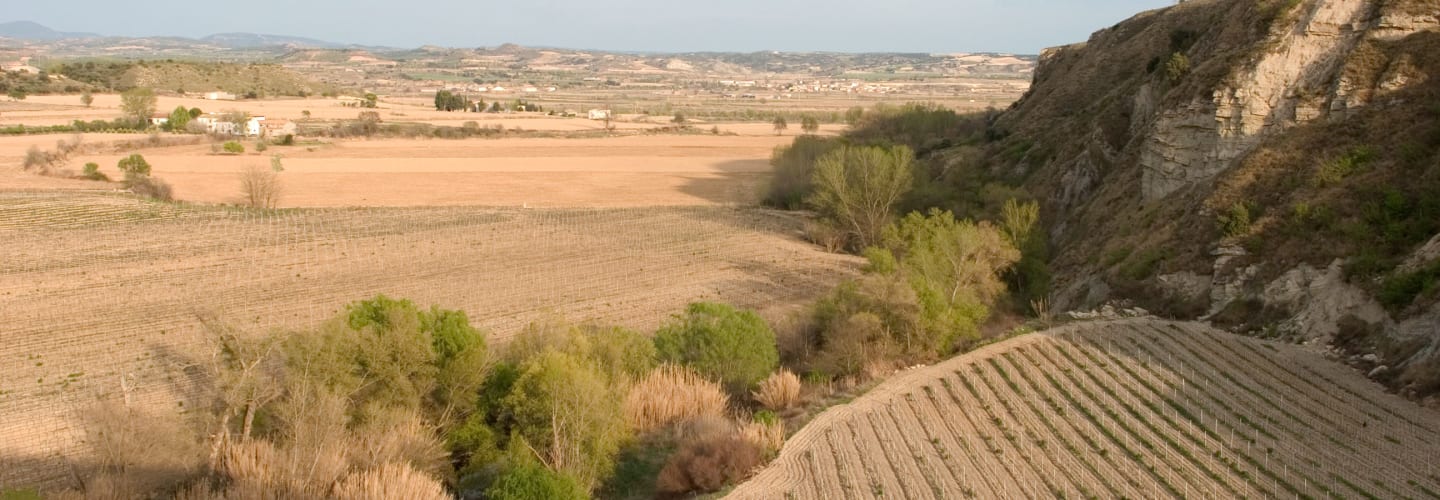 Bodega Pirineos