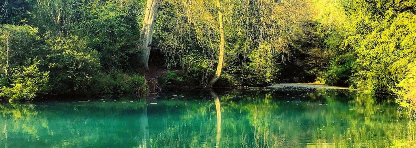 Silent Pool
