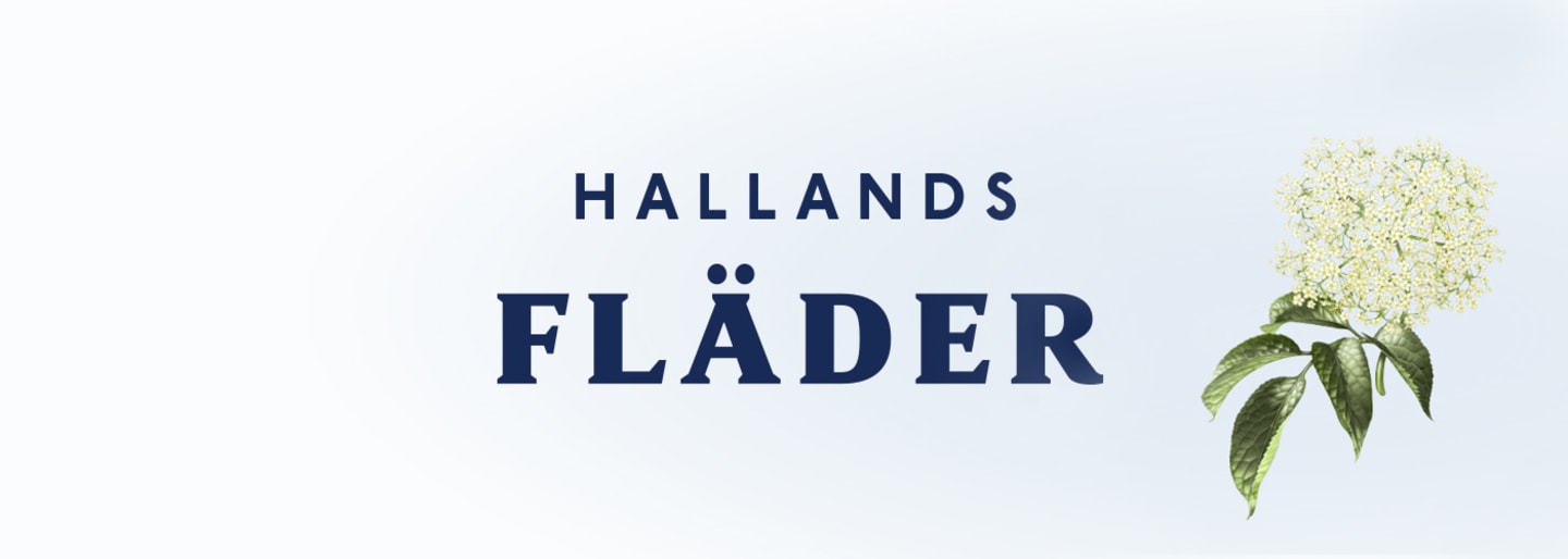 Hallands Fläder