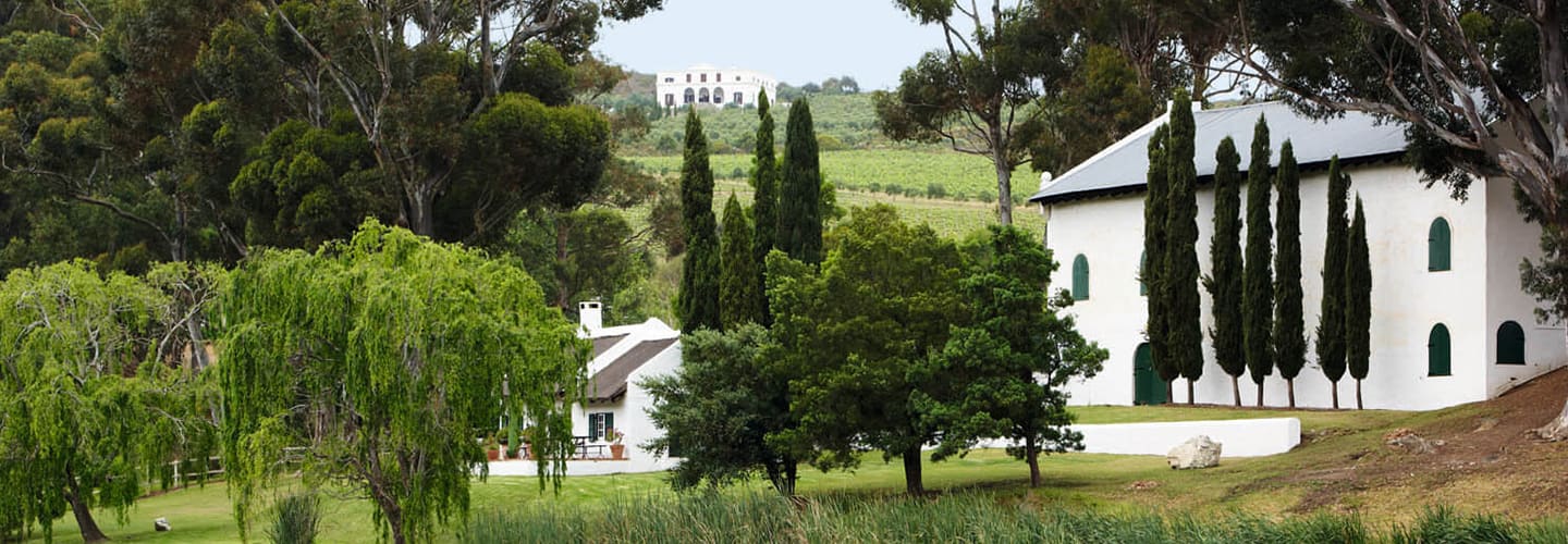 Ny årgång lanseras från Hamilton Russell Vineyards