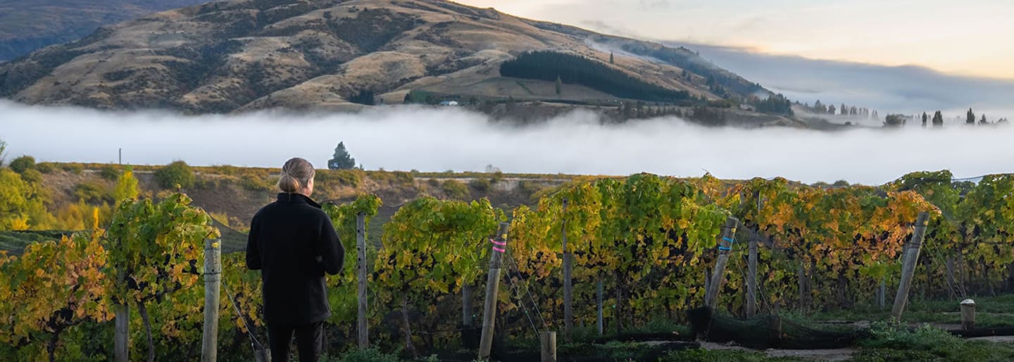 Mora Wines (Akarua)