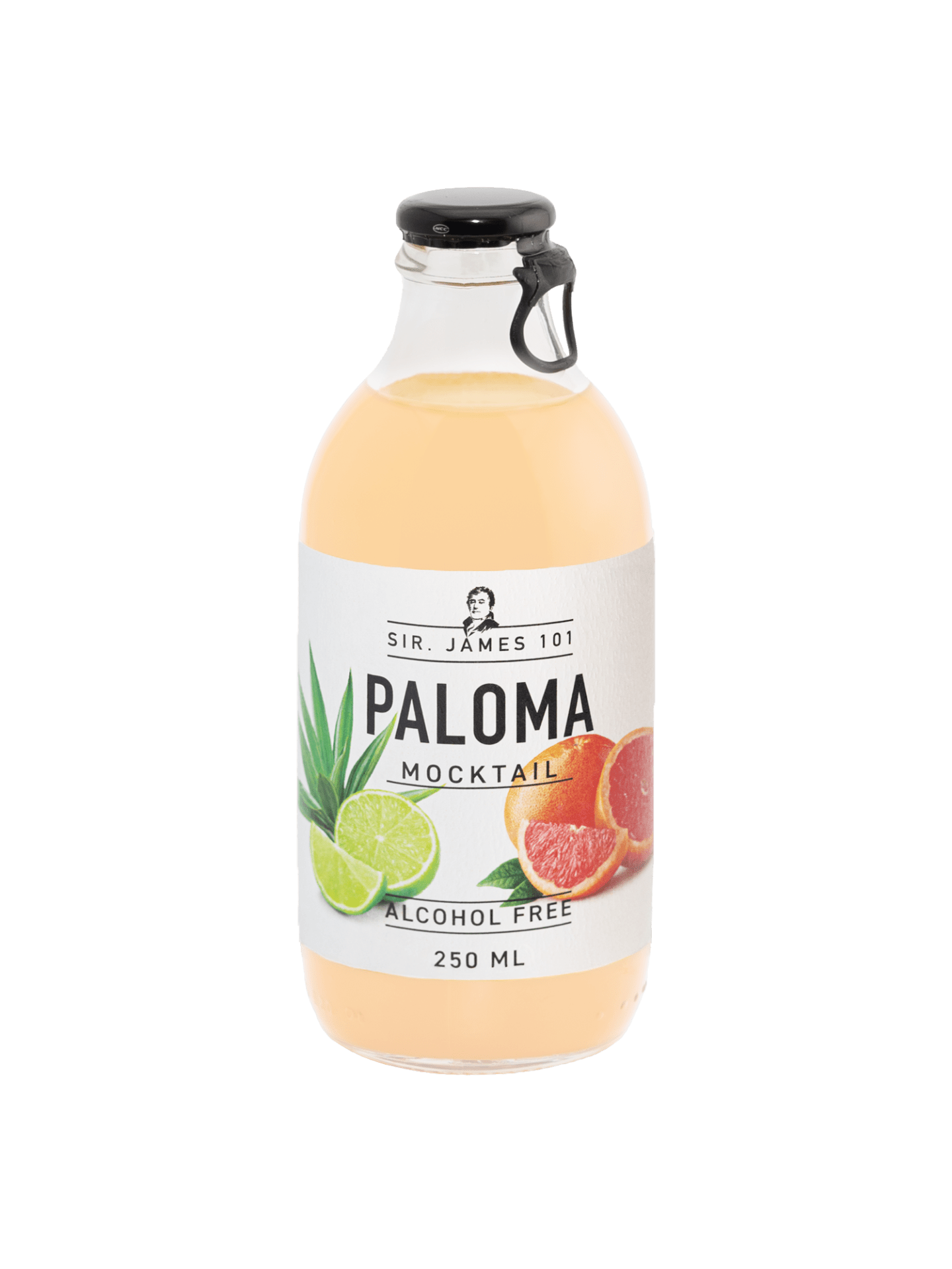 Sir. James 101 Paloma