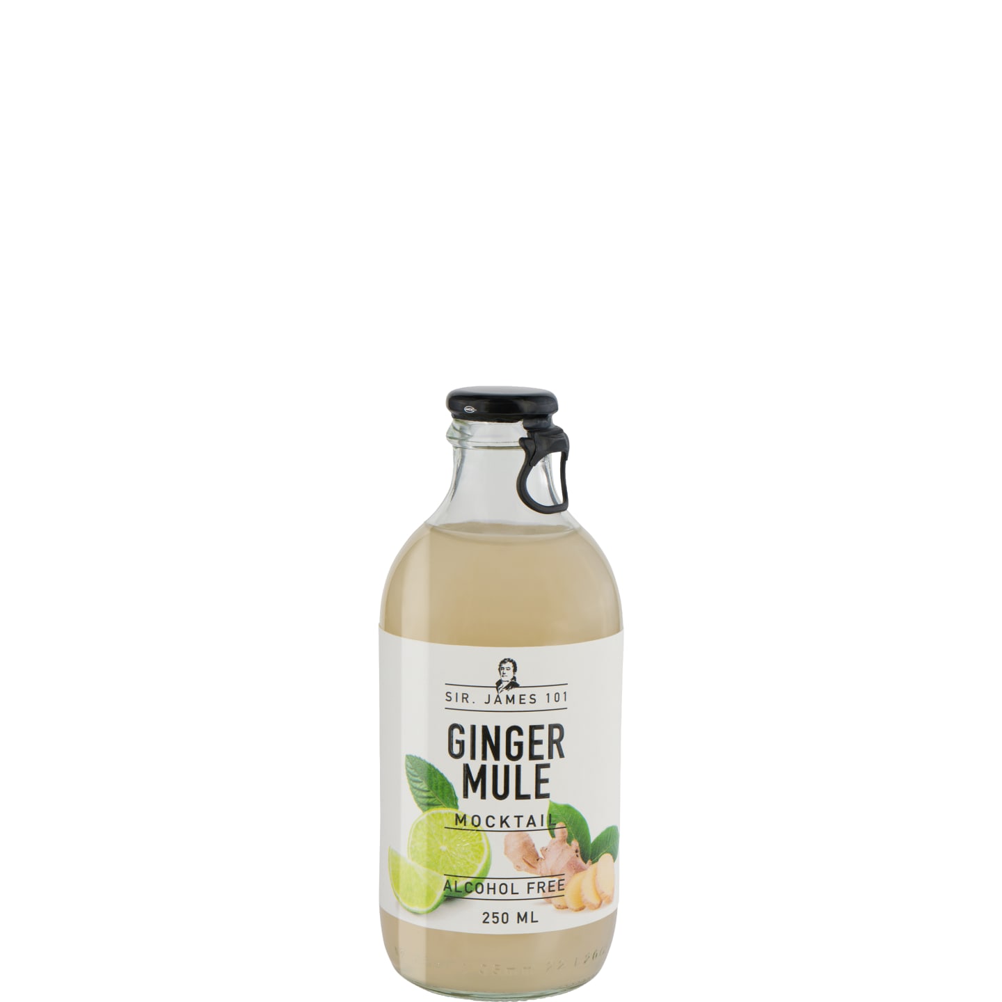 Sir. James101 - Ginger Mule