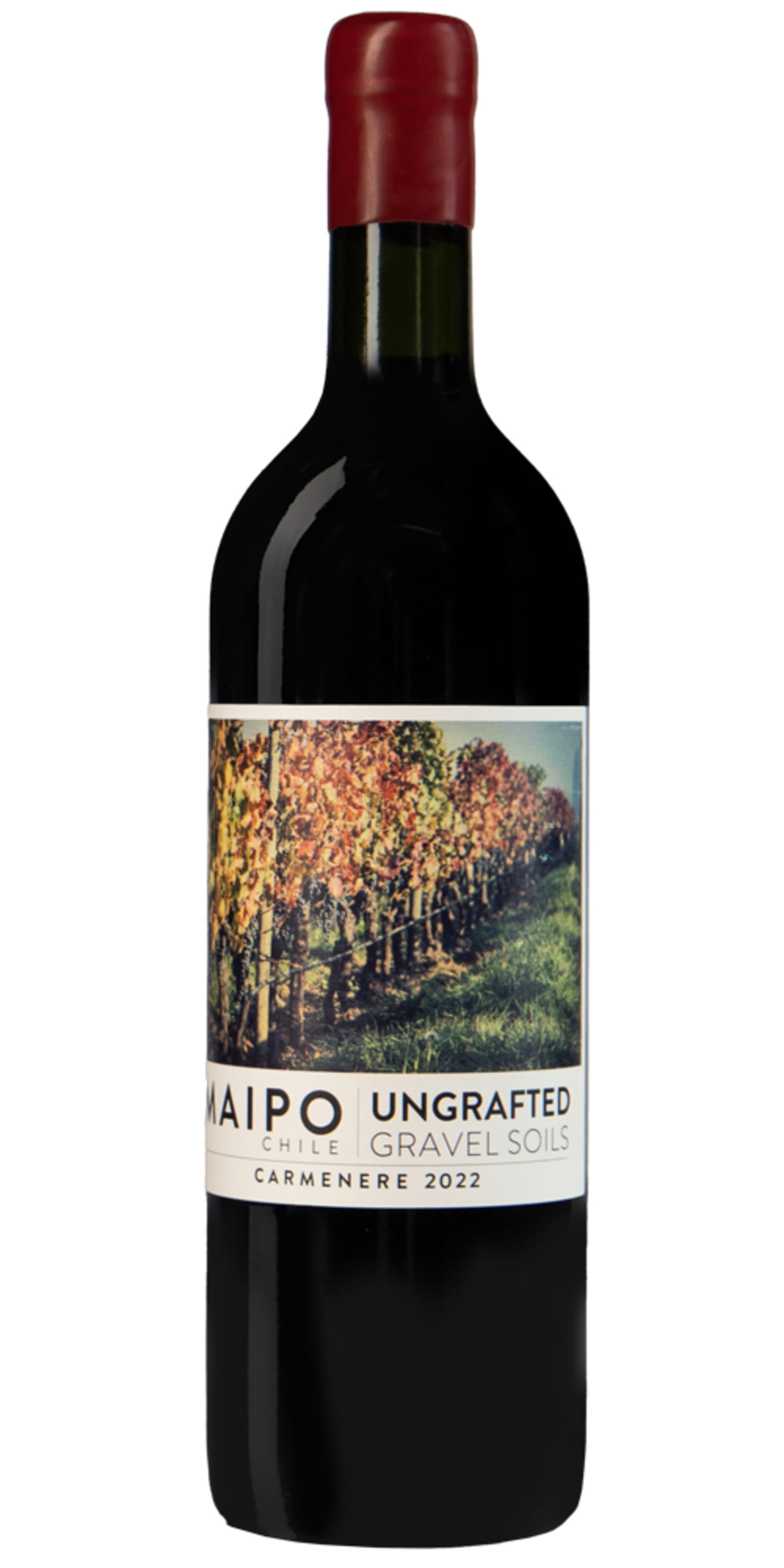 De Martino Ungrafted Carmenere - Bild 1 av 1