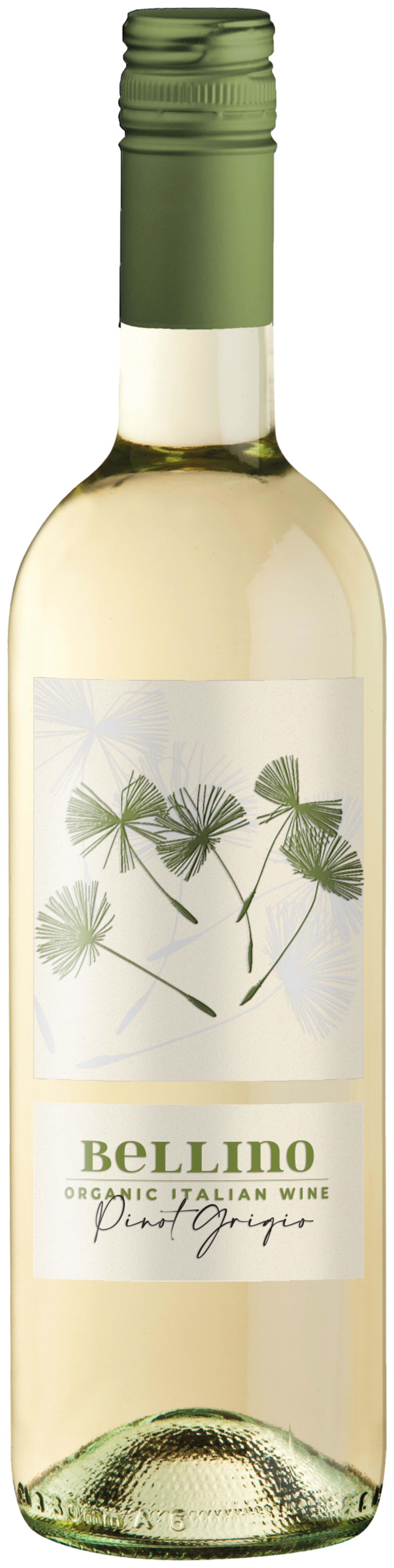 Bellino Pinot Grigio EKO - Bild 1 av 2