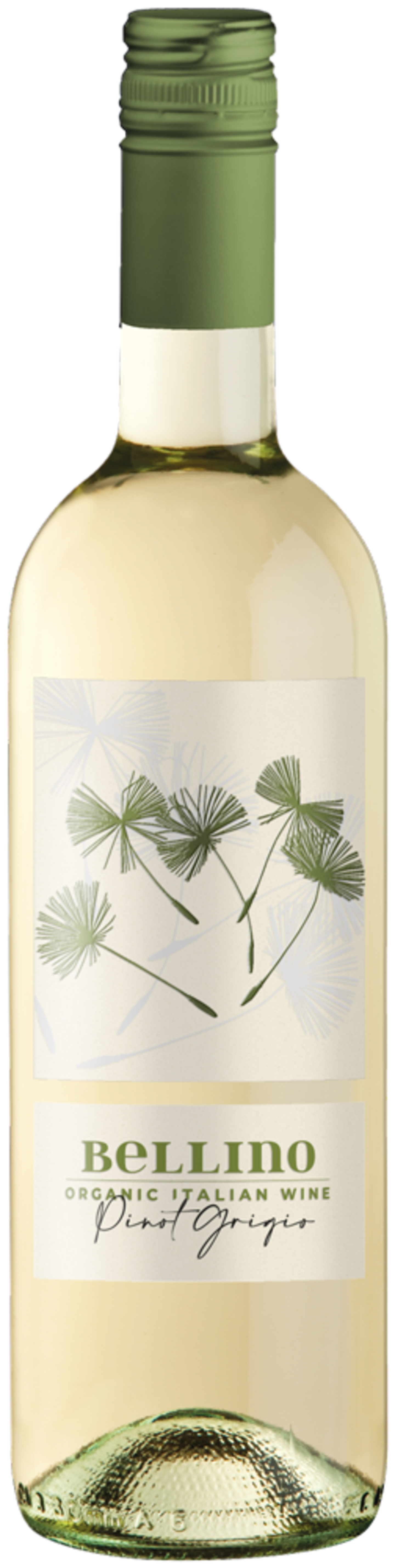 Bellino Pinot Grigio EKO - Bild 1 av 2