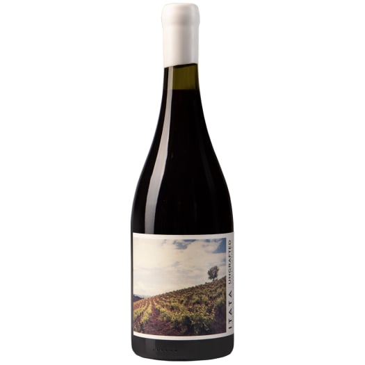 De Martino Ungrafted Cinsault