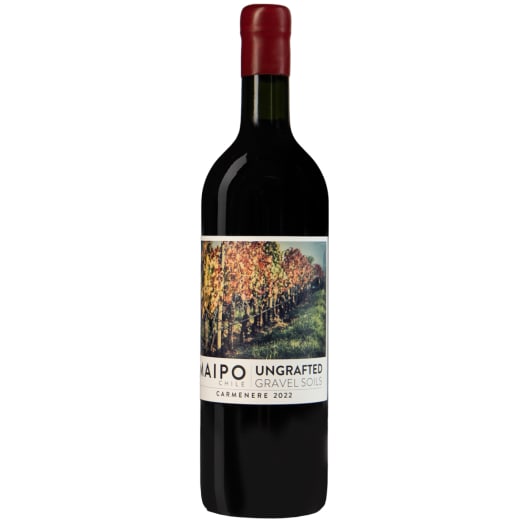 De Martino Ungrafted Carmenere